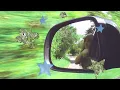 Nell Mescal - Settles (Official Audio)