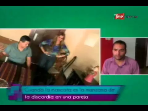 Cuando la mascota es la manzana de la discordia en una pareja