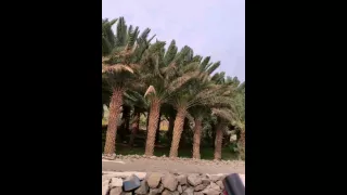 وادي خضره دندنها