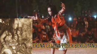 kutimang adekku sayang ratu erina celeng pesek