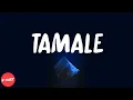 Tyler, The Creator - Tamale (lyrics)