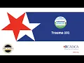 Webinar Wednesday Trauma 101