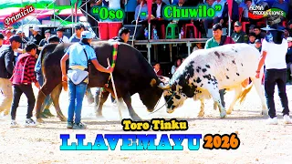 Toro Tinku de LLAVEMAYU 2026 - 73 Aniversario, "Chuwilo-Oso". Video Oficial de ALPRO BO.
