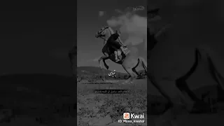 بتباهى أنا بأصلي 