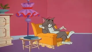 توم وجيري حلقه القطه البيضاء 