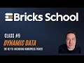 Class - Dynamic Data in Bricks Explained for Beginners