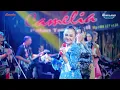 Lagu KUCARI JALAN TERBAIK ALL ARTIST - CAMELIA MUSIC - WEDDING JAYANG \u0026 PUTRI - TUBANAN KEMBANG JEPARA