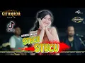 Download Lagu STECU _ ADINDA RAHMA //NEW CITANADA  #newcitanada #adindarahma #tiktokvideo