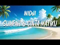 Download Lagu Sumpah \u0026 Cinta Matiku - NIDJI || Lirik