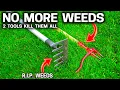 2 Must Have Tools to Conquer All Weeds