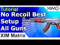 XIM Matrix - Best Anti Recoil Setup Guide