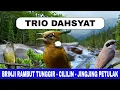 Download Lagu MASTERAN CILILIN - BRINJI RAMBUT TUNGGIR - JINGJING PETULAK JERNIH - MASTERAN KOMBINASI TERBARU 2025