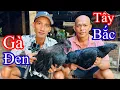 Download Lagu Ghé Nhà Cameramen Thịt Cặp Gà Đen Tây Bắc - Toàn Đen Sơn Dược Vlog