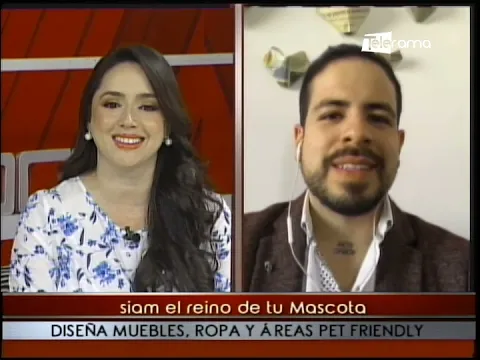 Siam el reino de tu Mascota diseña muebles, ropa y áreas pet friendly