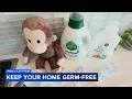 Tips to keep your house germ-free