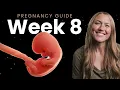 8 Weeks Pregnant Week By Week Pregnancy