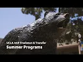 UCLA AAP Freshman Transfer Summer Programs