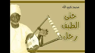 حتى الطيف رحل خلاني محمد كرم الله 