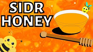 ۸ فایده عسل کنار   تقویت قوای جنسی دندنها