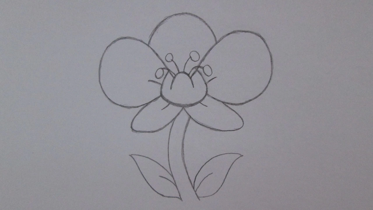 COMO DESENHAR UMA FLOR ORQUÍDEA
