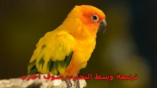 وسط التجارب سوف احارب 