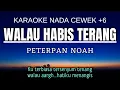 Download Lagu Peterpan - Walau Habis Terang (Karaoke Female Key Nada Wanita +6 Ab)