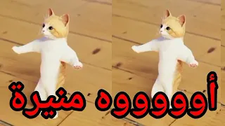  اغنية باسم  منيرة الزينه منيره موني  السعودية الكويت العراق تركيا لبحرين الجزائر دبي جده جدة الرياض دندنها