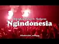 Download Lagu Ngindonesia