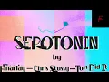 SEROTONIN (Wide Awake by Chris Stussy ft. Tom Did It x Finarlay Remix)