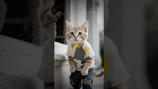 القط مياو بلغ على الحرامية رغم الي صار بينه وبين القطة الغنية وشوفوا شو صار بالنهاية 