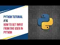 Python Tutorial - How to get input from the user in python