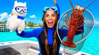 I TOOK MY LLAMAS LOBSTERING!