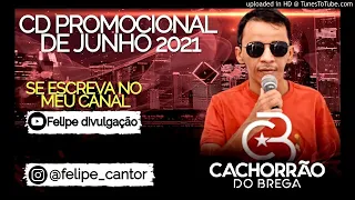 cachorr o do brega junho 2021 cd completo na descri o