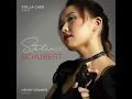 Fantasie in C Major, D. 934: I. Andante molto