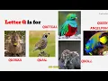 A to Z Animal Learn Letter Q with Animal Name 2024