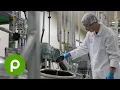 Publix is now hiring in manufacturing
