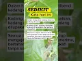 Download Lagu Kata kata Hari Ini #shots #fypyoutube