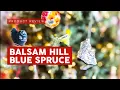 My Fake Christmas Tree Fooled Everyone Balsam Hill Review