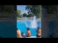 Download Lagu Man Makes a Monster Splash || ViralHog