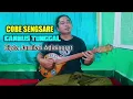 Download Lagu COBE SENGSARE VERSI GAMBUS TUNGGAL TEMU KARYA