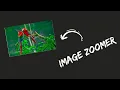 Hover Image Zoomer Using HTML CSS JS CSS Hover Effect Web Development