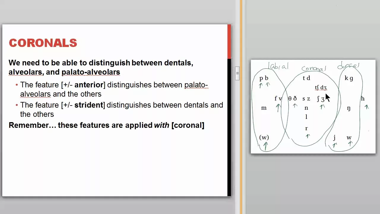 Phonological Features