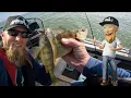 Jumbo Perch on the Saginaw bay