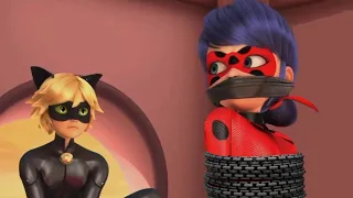 Miraculous Ladybug 「AMV」- Let You Never