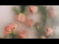 Download Lagu paligaw-ligaw tingin official lyric video - eurika