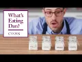 Why Acids Are as Important as Salt What s Eating Dan