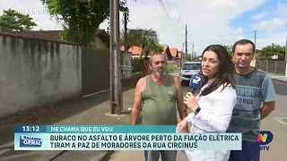 Buraco no asfalto e árvore na fiação preocupam moradores da Rua Circinus