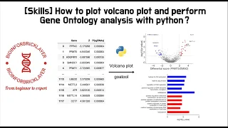 Bioinformatics Skills 07 How to plot volcano plots and perform gene ontology analysis with python
