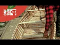 Download Lagu César et son canot d'écorce
