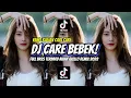 Download Lagu DJ CARE BEBEK VIRAL TIKTOK TERBARU REMIX AWAN AXELLO - 2022
